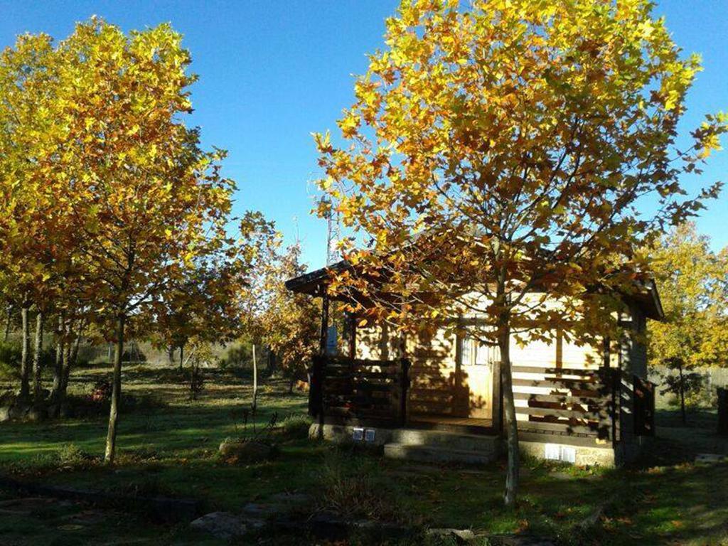 Cabanas Vallecino Мансаналь-де-лос-Инфантес Экстерьер фото