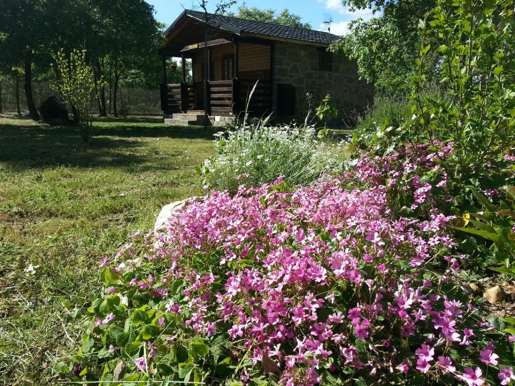 Cabanas Vallecino Мансаналь-де-лос-Инфантес Экстерьер фото