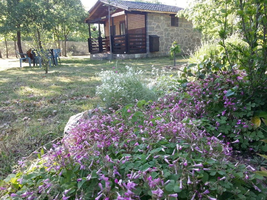Cabanas Vallecino Мансаналь-де-лос-Инфантес Экстерьер фото