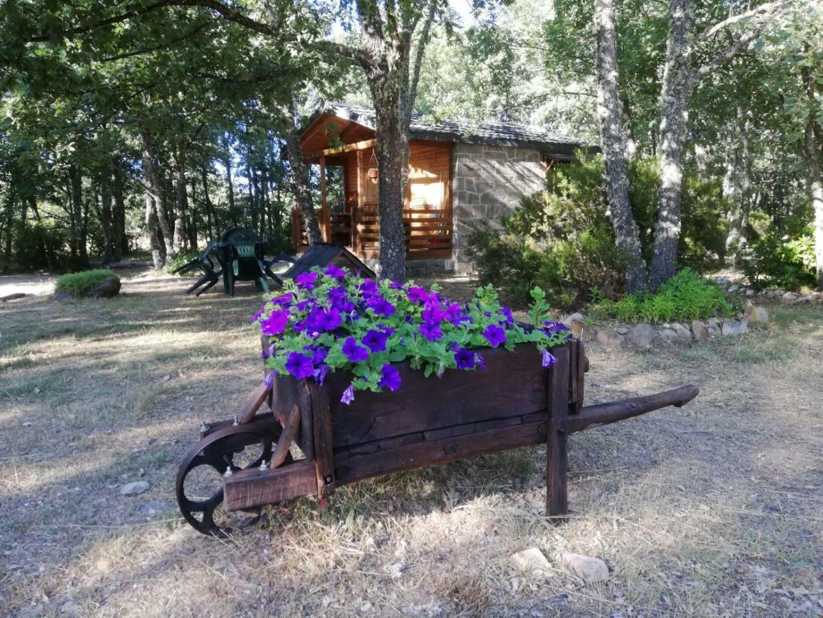 Cabanas Vallecino Мансаналь-де-лос-Инфантес Экстерьер фото