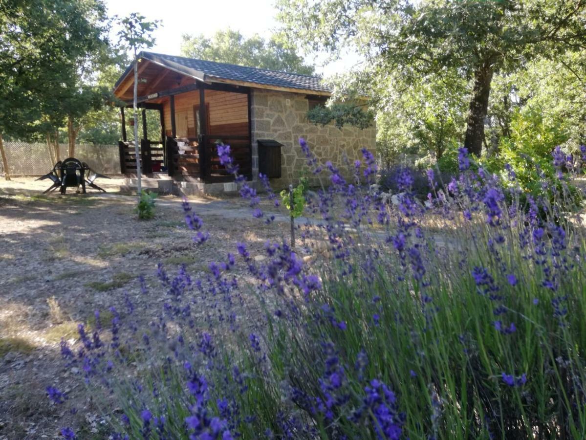 Cabanas Vallecino Мансаналь-де-лос-Инфантес Экстерьер фото