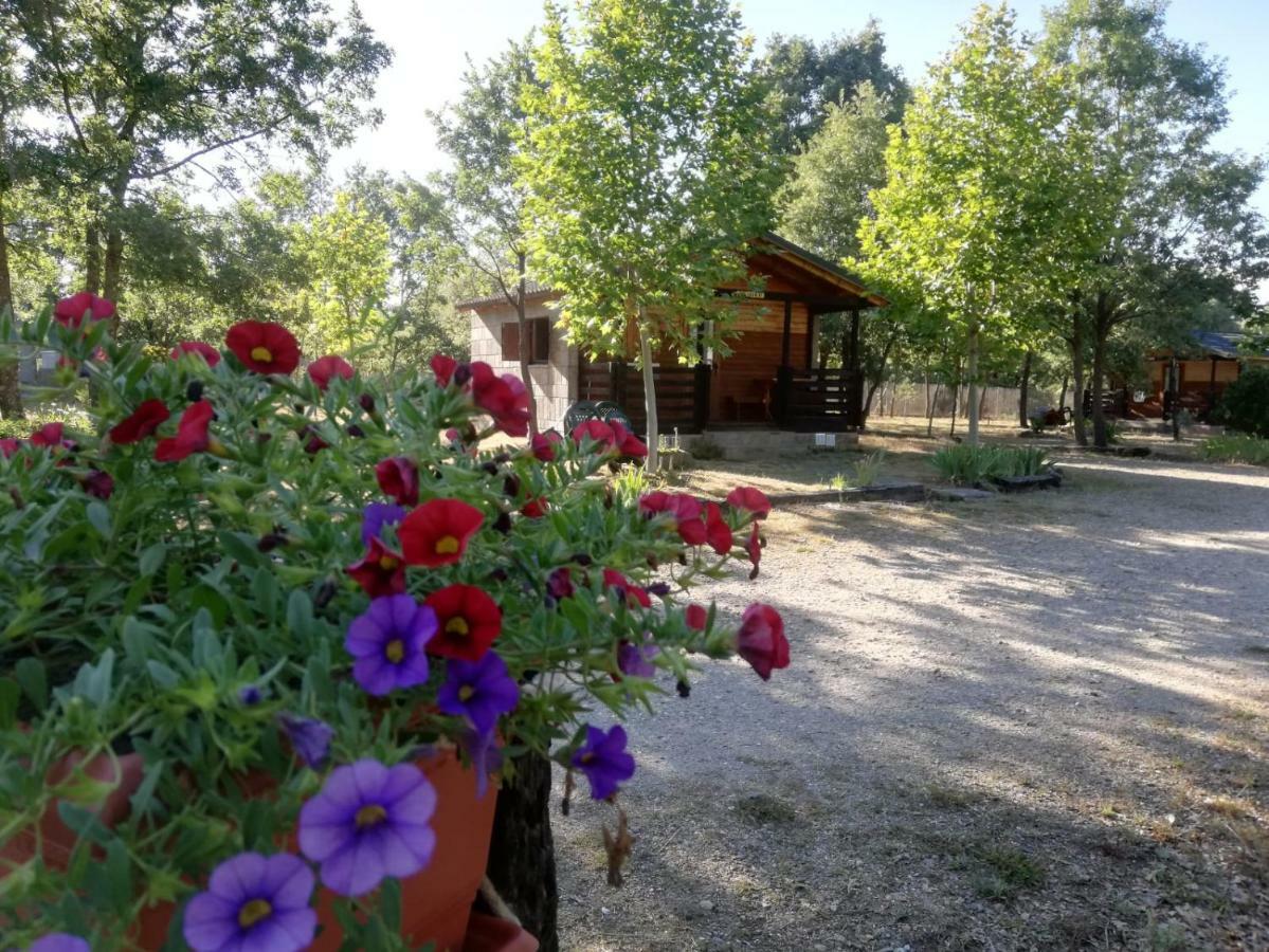 Cabanas Vallecino Мансаналь-де-лос-Инфантес Экстерьер фото