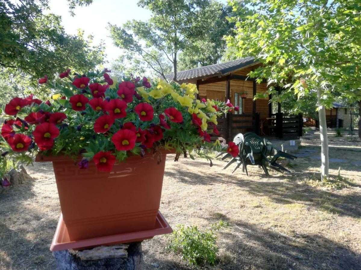 Cabanas Vallecino Мансаналь-де-лос-Инфантес Экстерьер фото